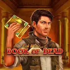 Book of Dead online slot from Play&#039;n GO – play at janusz-casino.de