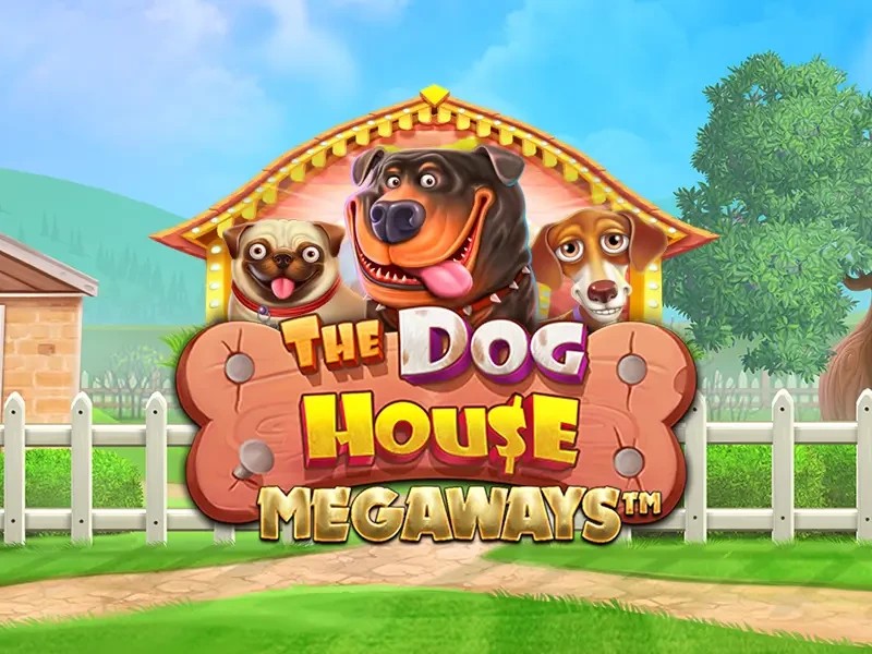 Play the The Dog House Megaways slot by Pragmatic Play on Janusz Casino
